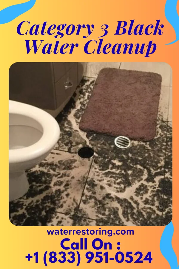 Category 3 Black Water Cleanup in Indian Springs, TX