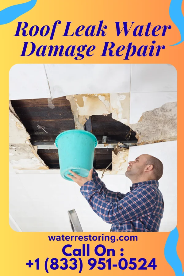 Roof Leak Water Damage Repair in Indian Springs, TX